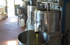 L'olio extra vergine