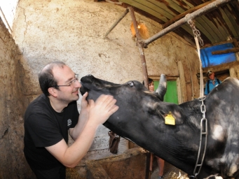 Dalla fattoria al tavolo!