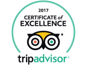 Siamo anche su Trip Advisor